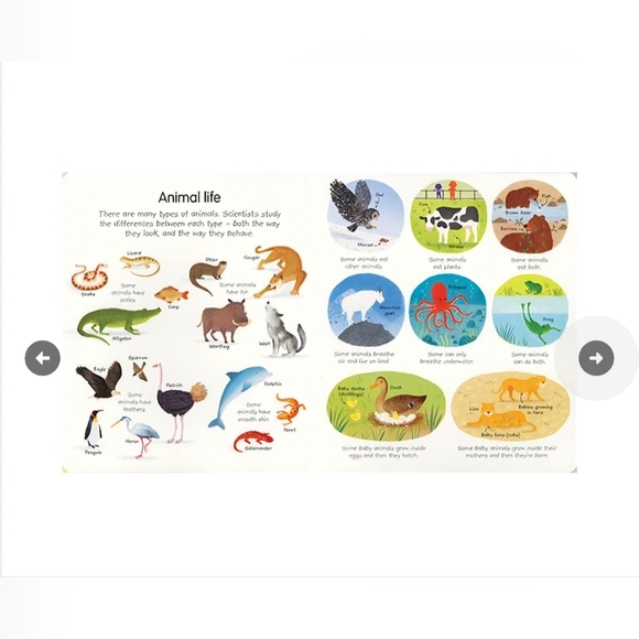 🌸 3/$25 🌸 My Very First Science Book - Picture 5 of 5